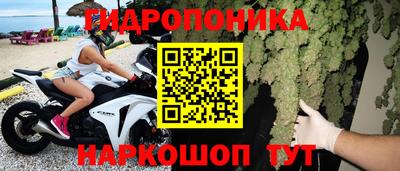jwh Пенза