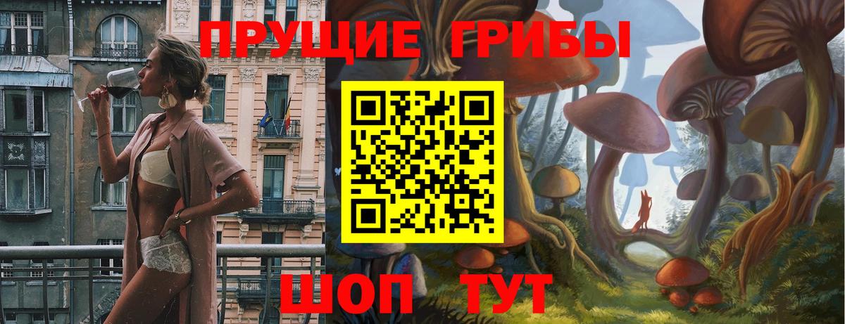 Псилоцибиновые грибы Cubensis Спасск-Дальний