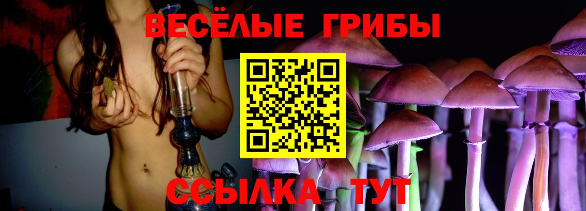 купить наркотик  Псилоцибиновые грибы мицелий  Вход с VPN  Спасск-Дальний 
